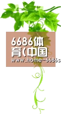 6686体育(中国)官方网站 - 6686 SPORTS