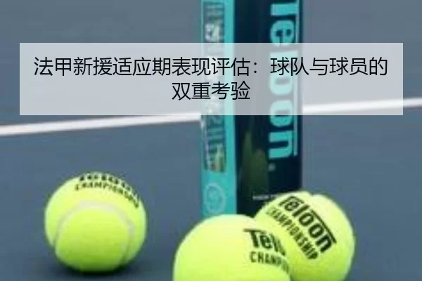法甲新援适应期表现评估：球队与球员的双重考验