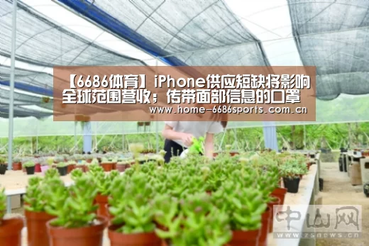 6686体育官网